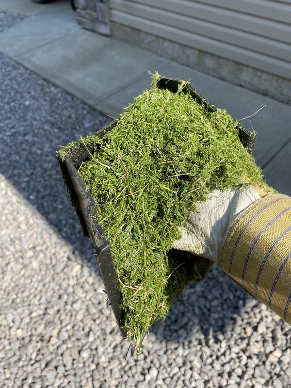 Photo - commentaire&nbsp;2.