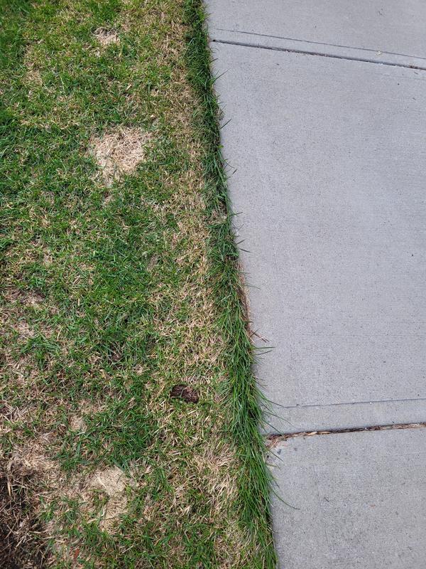 Unable to cut along sidewalk.