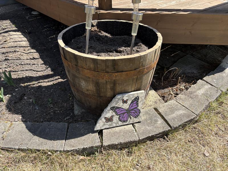 Photo - commentaire 2.