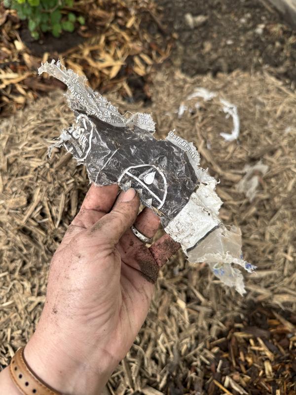 Photo - commentaire 6.