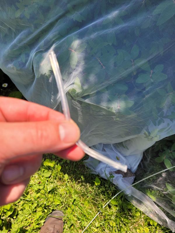 Photo - commentaire&nbsp;3.