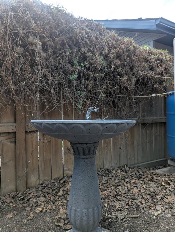 Photo - commentaire 4.