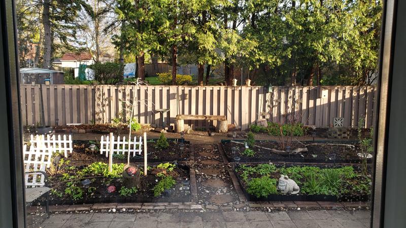 Note the black edging around the raised garden beds