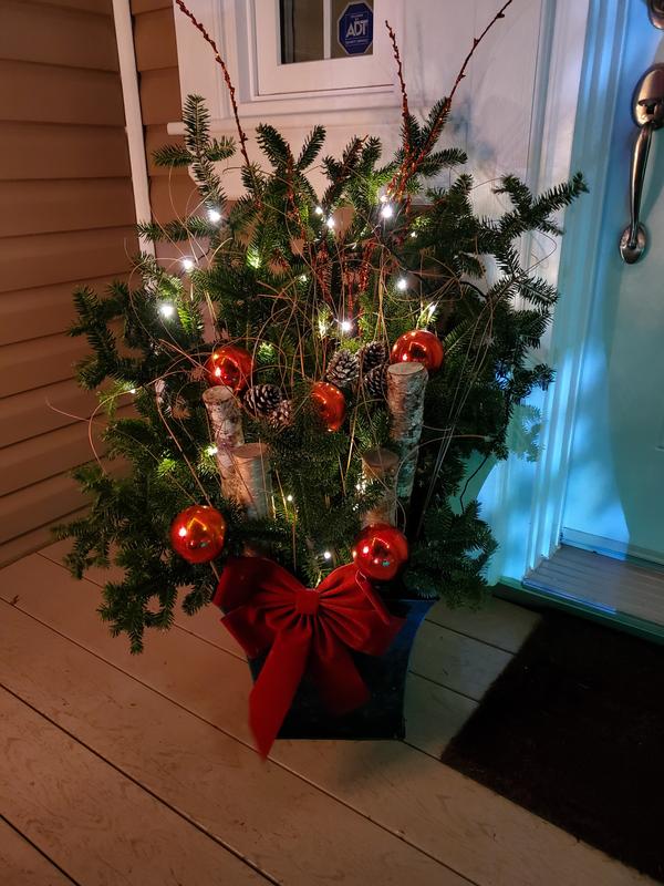 Photo - commentaire&nbsp;1.