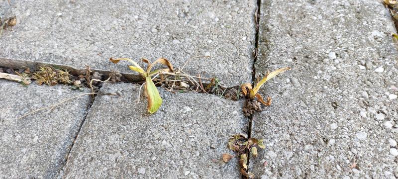 Photo - commentaire&nbsp;4.