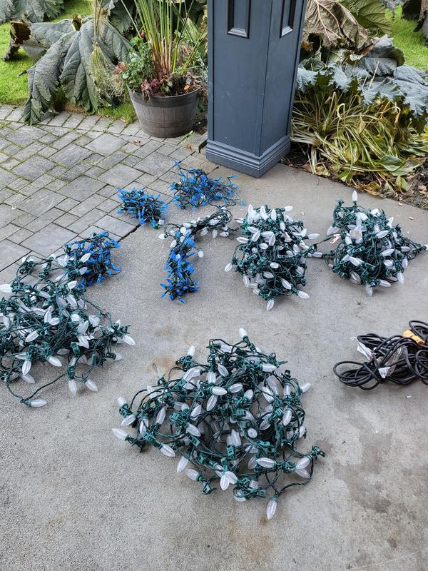 Photo - commentaire 5.