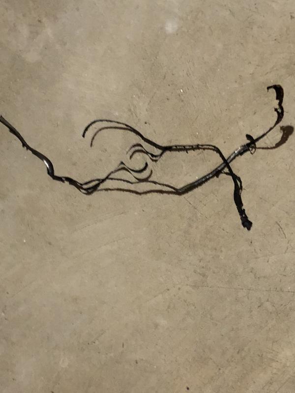 Photo - commentaire 2.