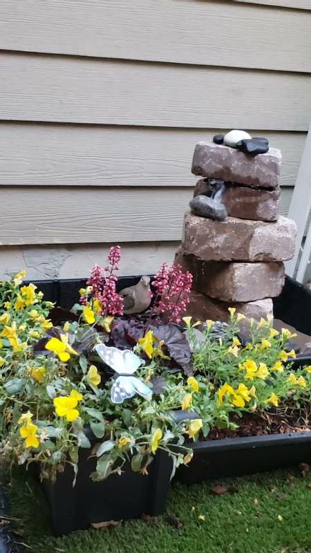 Photo - commentaire 1.