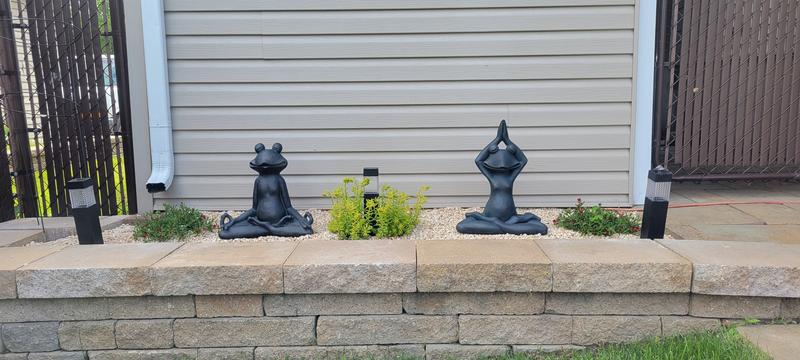 Photo - commentaire 2.