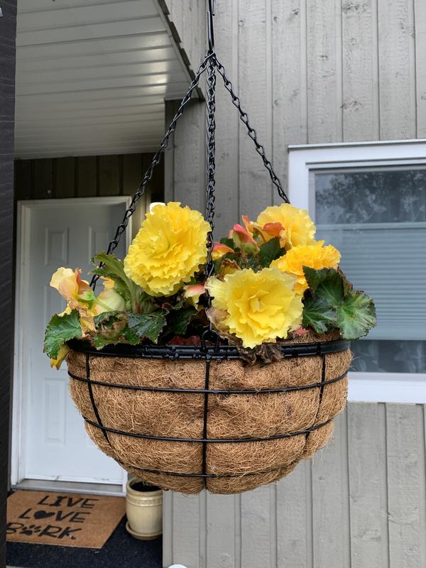 Photo - commentaire&nbsp;2.