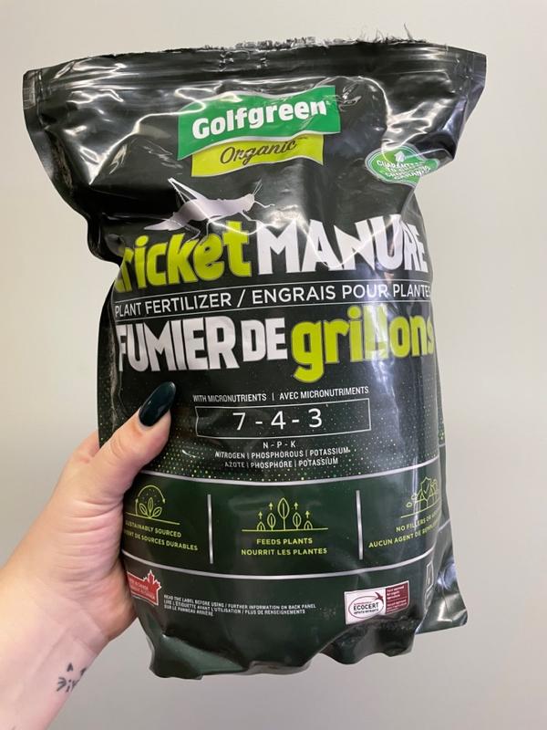 Photo - commentaire 6.