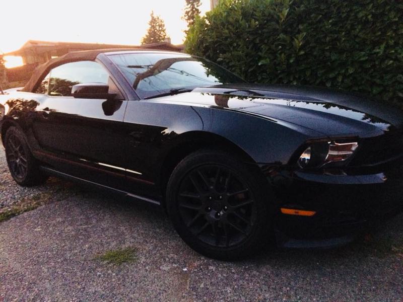 Photo - commentaire 7.