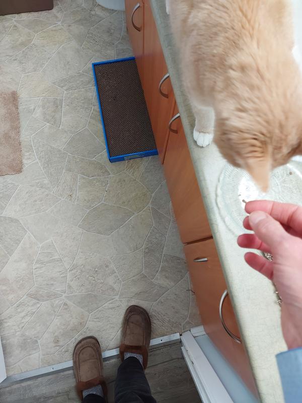 Photo - commentaire&nbsp;1.