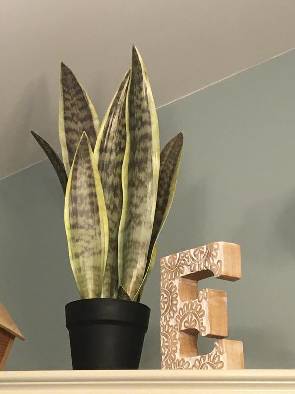 Photo - commentaire&nbsp;1.