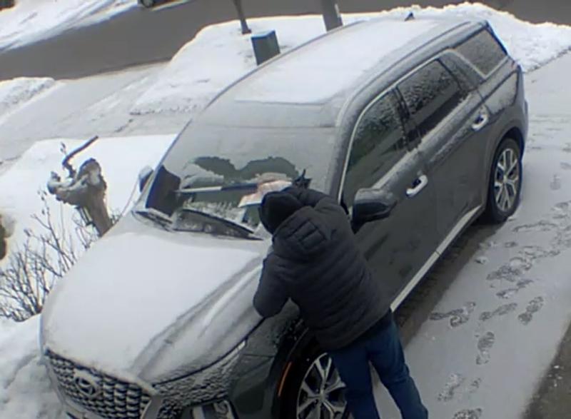 Big Beautiful Brush :-)