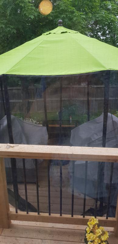 My new umbrella screen