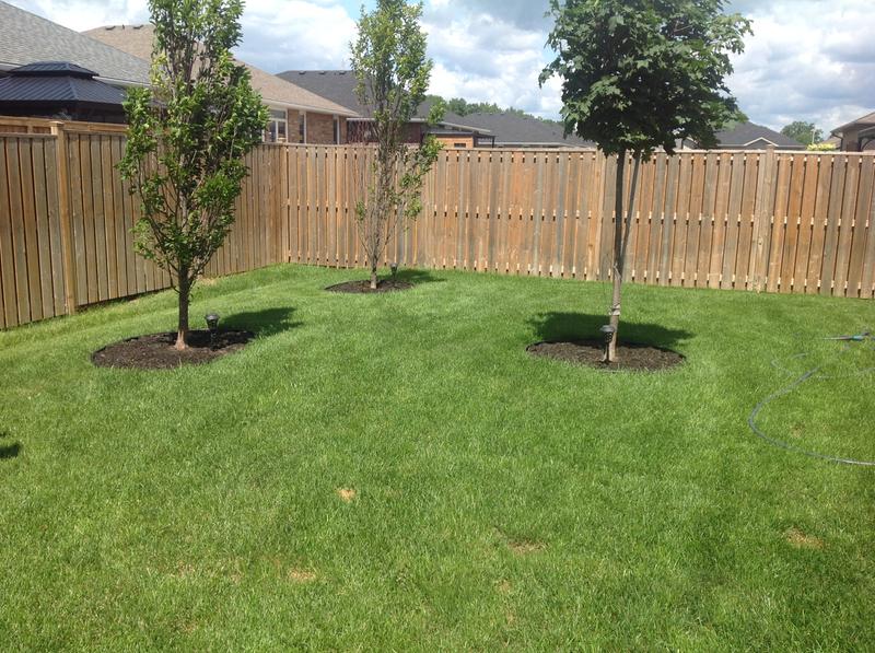 Photo - commentaire&nbsp;8.