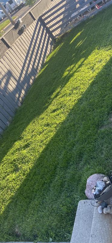 Photo - commentaire 6.