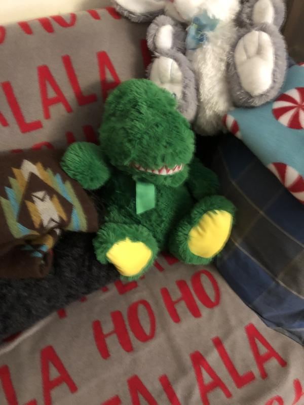 My grandson loves his Dino plush toy