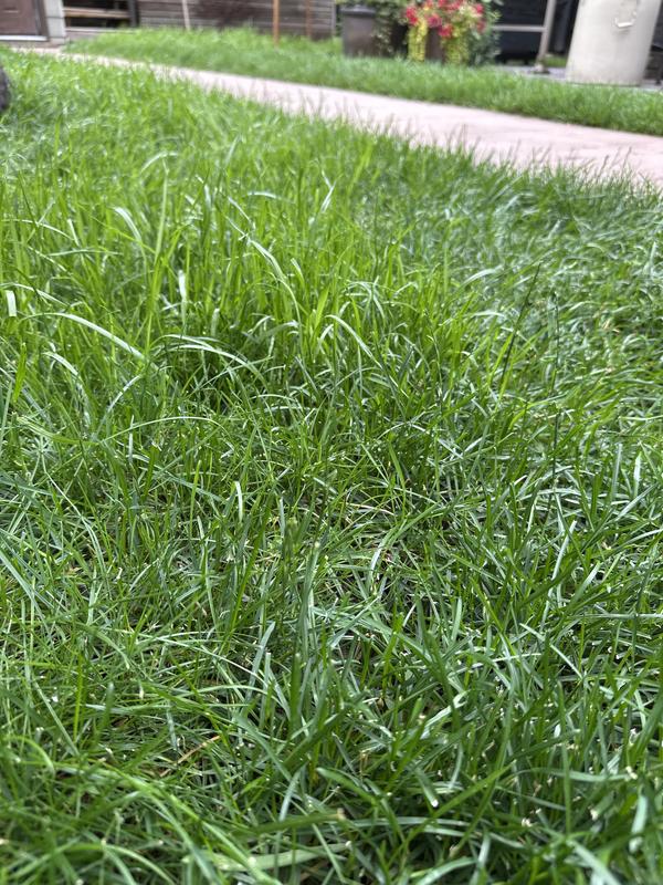 Photo - commentaire 1.