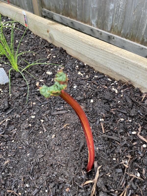 Photo - commentaire&nbsp;2.