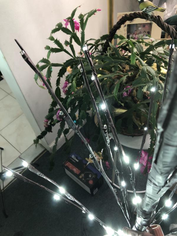 Photo - commentaire&nbsp;4.