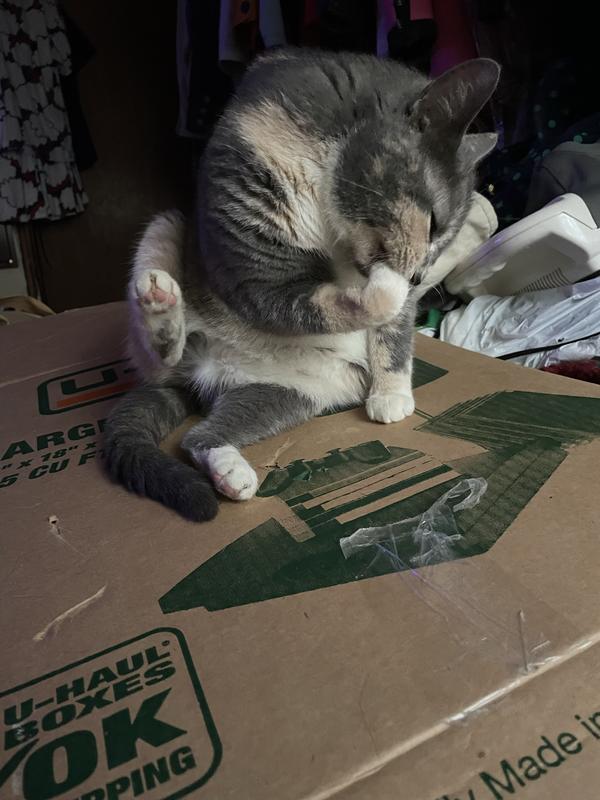 Washing up after a satisfying snack.