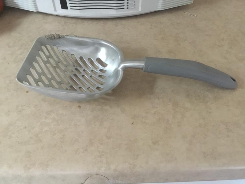 Best scooper ever made