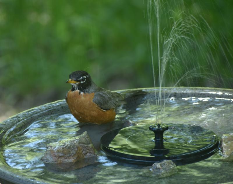 For Living Solar-Powered Floating Fountain | Canadian Tire