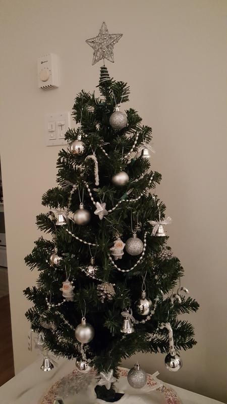 Photo - commentaire 7