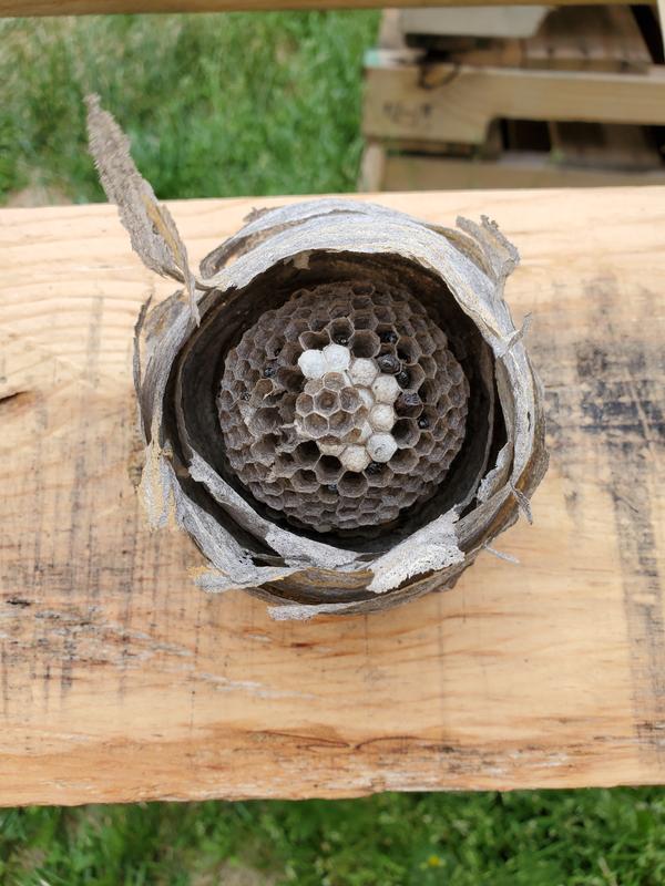 Photo - commentaire&nbsp;1.