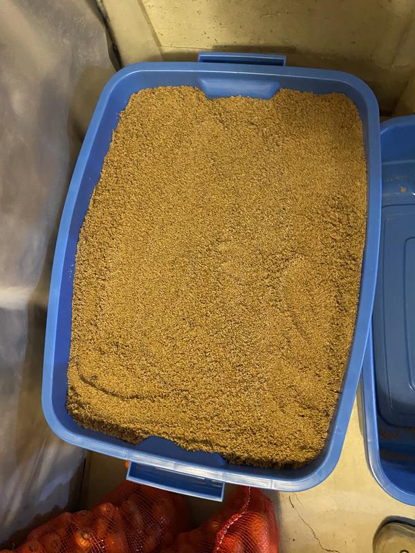 Winter Veggie Storgae