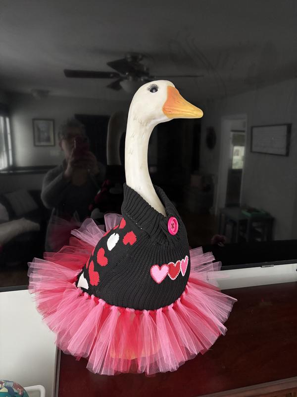 Photo - commentaire&nbsp;2.