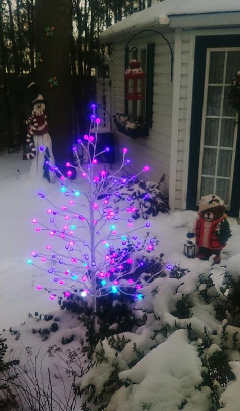 Photo - commentaire&nbsp;6.