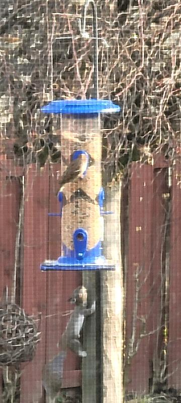 Photo - commentaire&nbsp;1.