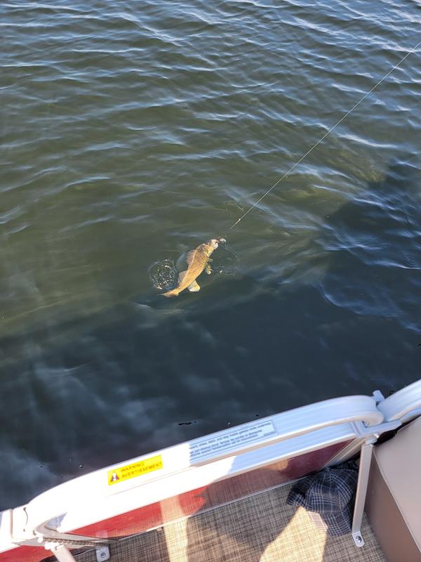 Photo - commentaire&nbsp;1.