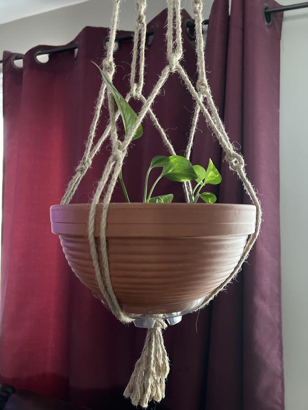 Photo - commentaire&nbsp;1.