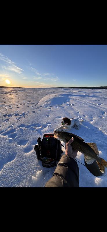 Photo - commentaire&nbsp;3.