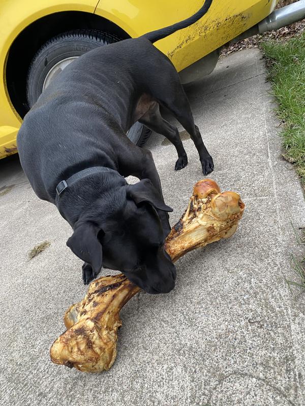 Christmas Gift Reveal