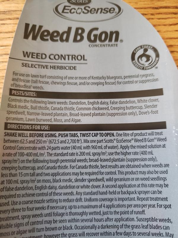 Photo - commentaire&nbsp;5.