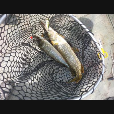 Photo - commentaire&nbsp;3.