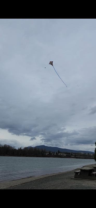 Photo - commentaire&nbsp;1.