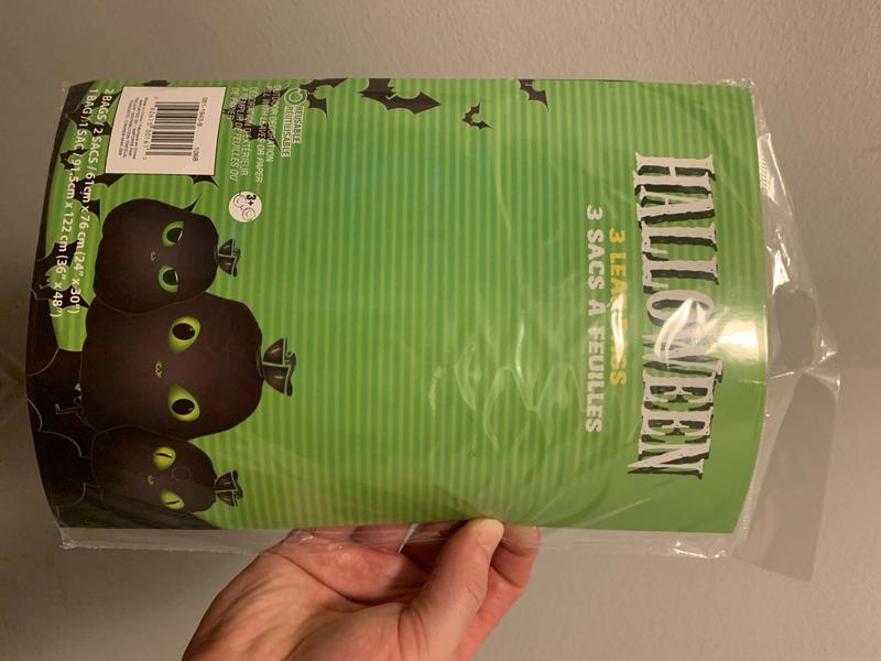 Photo - commentaire 2