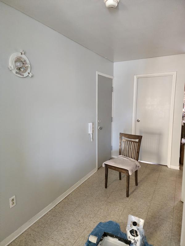 Premier Ready To Roll Interior Wall Paint Eggshell Coconut Milk
