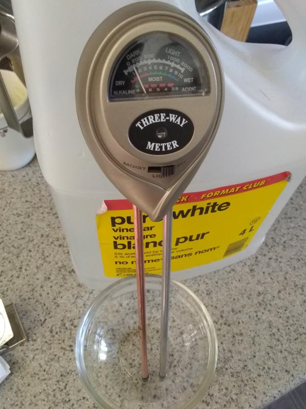 Everything is alkaline!  Even vinegar.