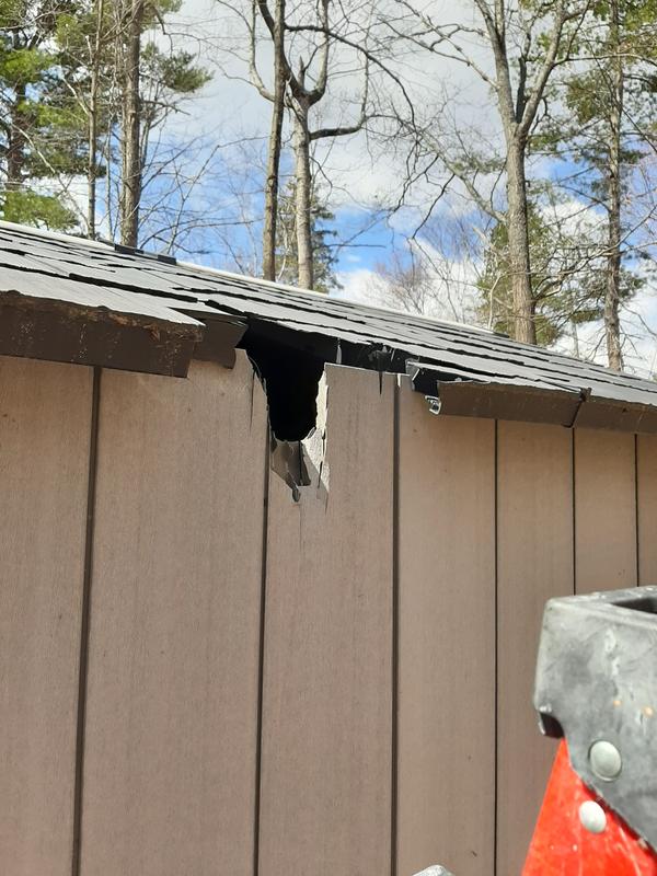 Keter shed, roof and wall broken by small branch.