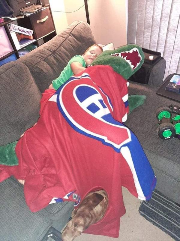 Photo - commentaire&nbsp;2.