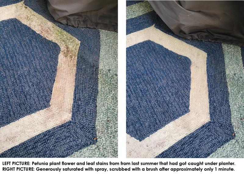Stain 1: Vegetation stains from 2022-2023. Petunia planter had some growth trapped which caused staining.