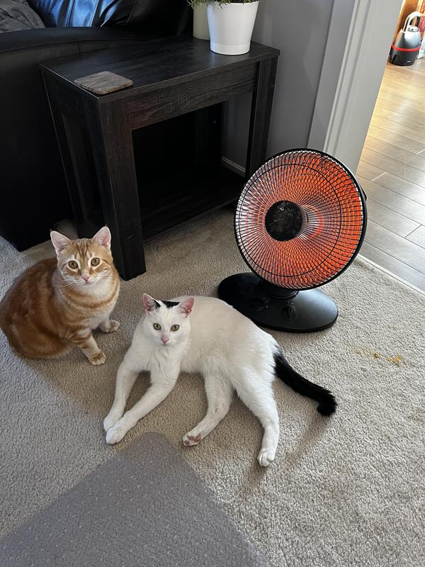 They hear the bag opening!