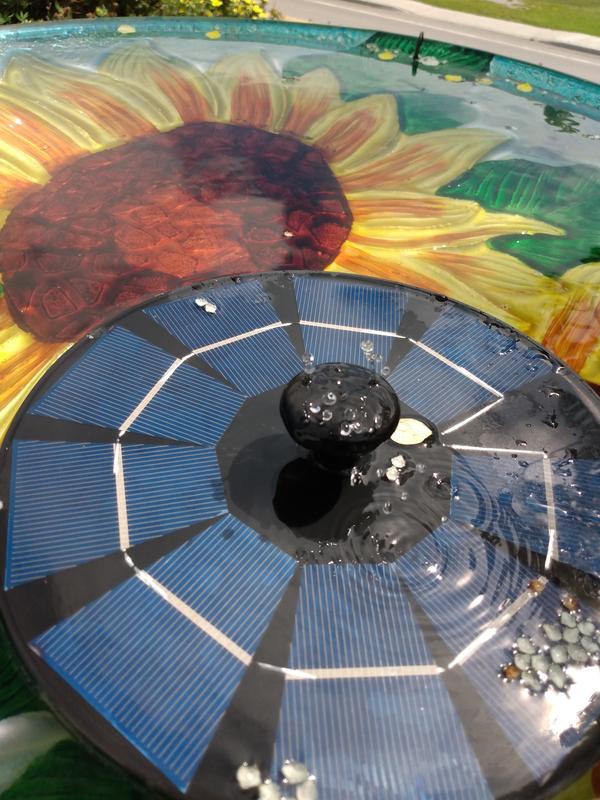 Photo - commentaire 5.